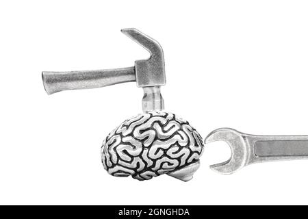 Detailliertes Stahlmodell eines menschlichen Gehirns mit einem kleinen Hammer und einem Schraubenschlüssel isoliert auf Weiß. Kreatives Konzept zur Gehirnanpassung. Stockfoto