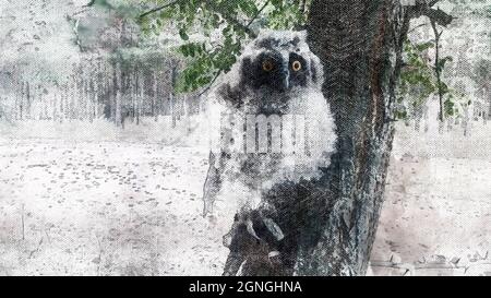 Porträt einer Eule, die auf einem Ast im Wald sitzt. Süße flauschige Küken mit großen gelben Augen. Greifvögel in ihrem natürlichen Lebensraum. Stockfoto