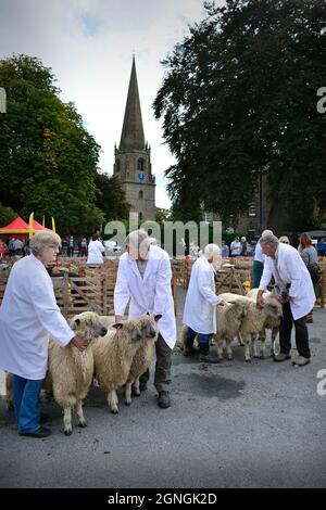 Masham Sheep Fair 2021 North Yorkshire England Stockfoto