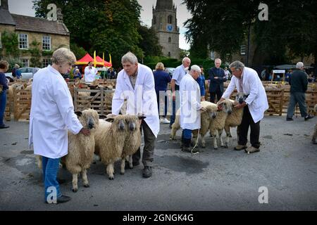 Masham Sheep Fair 2021 North Yorkshire England Stockfoto