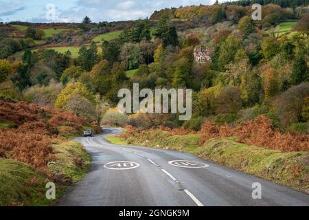 England, Großbritannien - Oktober 2018: Herbstliche Farben im Dartmoor National Park in Großbritannien Stockfoto