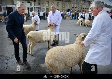 Masham Sheep Fair 2021 North Yorkshire England Stockfoto