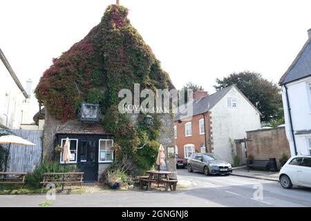 Der Pub Royal Oak Inn im Dorf Cerne Abbas in Dorset, England. Stockfoto