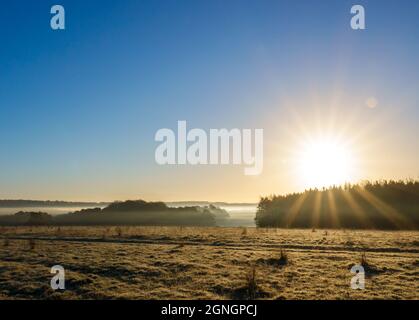 sonnenaufgang beleuchtet Wald umgeben von frühen Morgennebel Stockfoto