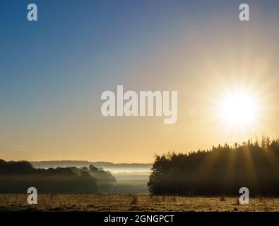 sonnenaufgang beleuchtet Wald umgeben von frühen Morgennebel Stockfoto