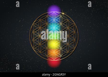 Blume des Lebens und die sieben Chakren. Gold Heilige Geometrie, Set Chakra Farben Punkte Meditation. Farbige Chakra-Lichter. Yoga, Zen, Buddhismus, Genesung Stock Vektor