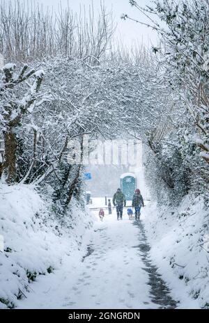England, Großbritannien: Ein Mann und eine Frau gehen an einem sehr kalten, verschneiten Tag im Winter mit ihren Hunden Stockfoto
