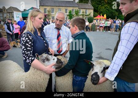 Masham Sheep Fair 2021 North Yorkshire England Stockfoto