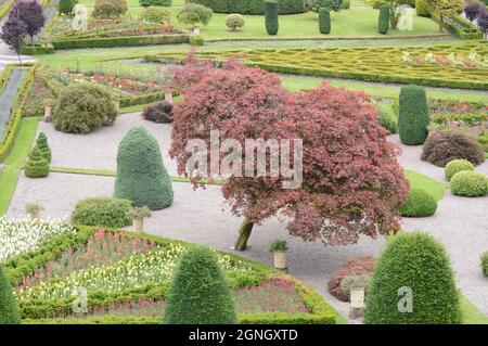 Die formalen Gärten von Drummond Castle in der Nähe von Crieff. Perthshire, Schottland, an einem warmen 31 August 2021 Stockfoto