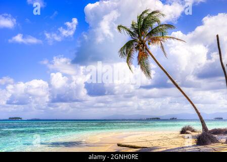 Palmenstrandszene Kuna Yala Islands, San Blas Panama Stockfoto