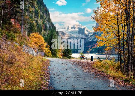 Faszinierende Herbstszene des Vorderer / Gosausee mit Dachstein-Gletscher im Hintergrund. Atemberaubende Aussicht auf die österreichischen Alpen, Oberösterreich, Europ Stockfoto