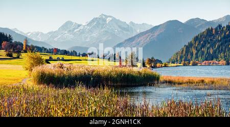 Herbstpanorama des Haidersees (Lago della Muta) mit Ortler-Gipfel im Hintergrund. Atemberaubende Morgenansicht der italienischen Alpen, Italien, Europa.be Stockfoto