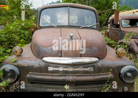Die Vorderseite eines rostigen 1949 Dodge RAM LKW Stockfoto