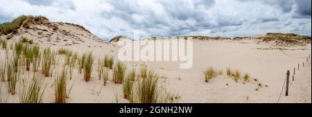 Panorama der Sanddünen, die den Wald im Nationalpark Słowiński in Polen absorbieren. Foto aufgenommen bei guter Beleuchtung an einem bewölkten Tag Stockfoto