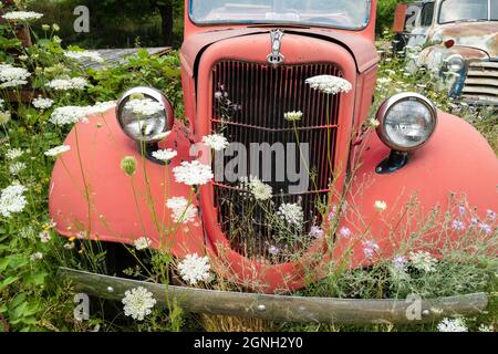 Die Vorderseite eines 1935 Ford Feuerwehrwagens in einem Schrottplatz in Idaho, USA Stockfoto