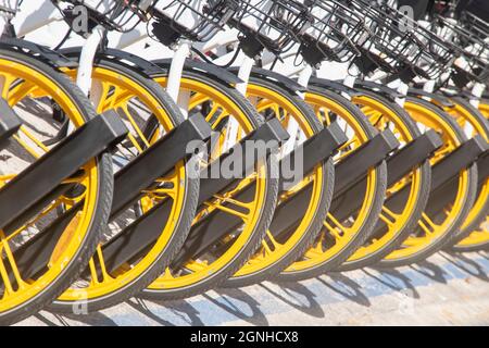 Nahaufnahme einer Reihe geparkter Fahrräder. Reihe von geparkten bunten Fahrrädern. Verleih von gelben Fahrrädern. Stockfoto