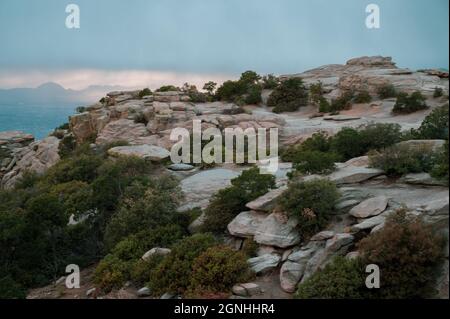 Felsen und Bäume auf Mt. Lemmon in der Nähe von Tucson, Arizona Stockfoto