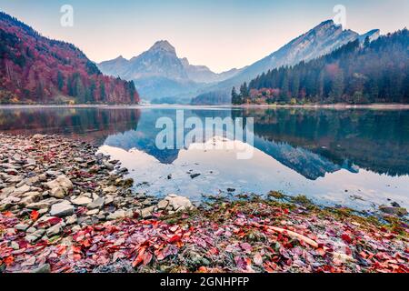 Herrlicher Herbstaufgang am Obersee, Lage im Dorf Nafels. Neblige Morgenszene der Schweizer Alpen, Kanton Glarus in der Schweiz, Europa. Schönheit o Stockfoto