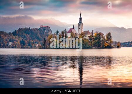 Dramatische Morgenansicht der Wallfahrtskirche Mariä Himmelfahrt. Faszinierende Herbstszene des Bleder Sees, der Julischen Alpen, Sloweniens, Europas. Reisen Stockfoto