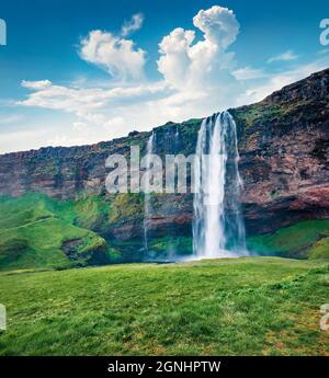 Fantastische Aussicht auf den Seljalandfoss Wasserfall am Morgen auf dem Seljalandsa Fluss. Beeindruckende Sommerszene von Island, Europa. Schönheit der Natur Konzept backgroun Stockfoto