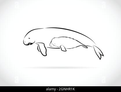 Vektor von Mutter Dugong und Baby Dugong Design auf weißem Hintergrund. Leicht editierbare Vektorgrafik mit Ebenen. Wilde Tiere. Stock Vektor