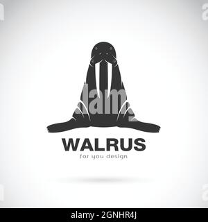 Vektor von Walrossdesign auf weißem Hintergrund. Leicht editierbare Vektorgrafik mit Ebenen. Wilde Tiere. Stock Vektor