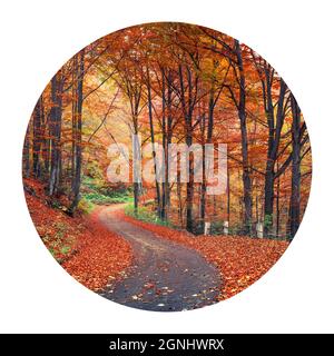 Runde Ikone der Natur mit Landschaft. Farbenfrohe Herbstszene im Bergwald. Malerische Morgenansicht der Karpaten, Ukraine, Europa. Stockfoto