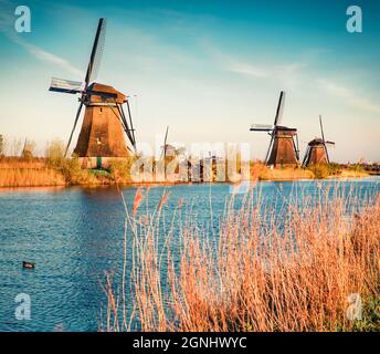 Berühmte Windmühlen im Kinderdijk Museum in Holland. Erstaunliche Outdoor-Szene der Niederlande, Europa. UNESCO-Weltkulturerbe. Reisekonzept nach hinten Stockfoto