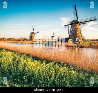 Berühmte Windmühlen im Kinderdijk Museum in Holland. Bunte Outdoor-Szene der Niederlande, Europa. UNESCO-Weltkulturerbe. Reisekonzept Backgro Stockfoto