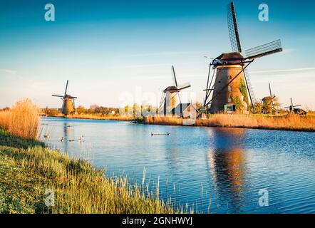 Berühmte Windmühlen im Kinderdijk Museum in Holland. Malerische Outdoor-Szene der Niederlande, Europa. UNESCO-Weltkulturerbe. Reisekonzept zurück Stockfoto