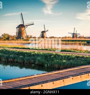 Berühmte Windmühlen im Kinderdijk Museum in Holland. Bunte Outdoor-Szene der Niederlande, Europa. UNESCO-Weltkulturerbe. Reisekonzept Backgro Stockfoto