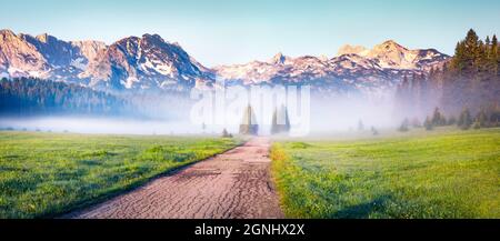 Sanfter Nebel, der von den Bergen herabkommt, umgibt das sonnige Tal. Panorama-Sommerszene von Durmitor Nacionalni Park, Montenegro, Zabljak Stadt locat Stockfoto