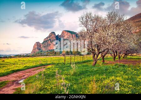 Ruhiger Blick auf den blühenden Mandelgarten am Kap San Vito am Morgen. Atemberaubende Frühlingsszene von Sizilien, Timpone Dorflage, Italien, Europa. Stockfoto