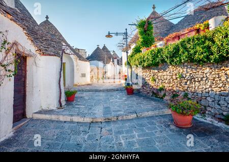 Sonnige Morgenansicht von strret mit Trullo (Trulli) - traditionelle Apulische Trockensteinhütte mit kegelförmigem Dach. Helles Stadtbild von Alberobello im Frühling Stockfoto