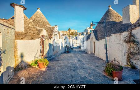 Farbenfrohe Morgenansicht von Strret mit Trullo (Trulli) - traditionelle Apulische Trockensteinhütte mit einem kegelförmigen Dach. Schöne Frühlingslandschaft von Alberobello Stockfoto