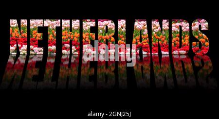 Niederlande Text aus Tulpen auf schwarzem Hintergrund mit Text Reflexion im Wasser. Stockfoto