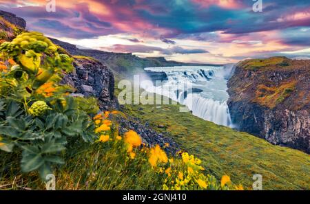 Erstaunliche Sommer Blick auf beliebtes Touristenziel - Gullfoss Wasserfall. Erstaunlicher Sonnenaufgang auf dem Hvita Fluss. Bunte Morgenszene von Island, Europa Stockfoto