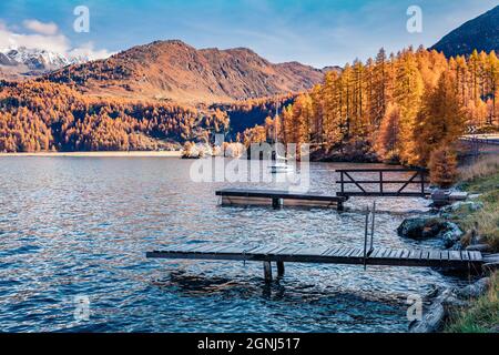 Weiße Yacht auf dem Sils See. Orangenlärche Wald in den Schweizer Alpen. Der erste Schnee bedeckte die hohen Bergketten. Herrliche Herbstlandschaft os Swatz Stockfoto