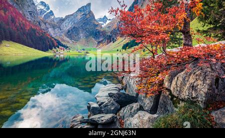 Herrliche Morgenansicht der Schweizer Alpen. Der riesige Santis-Gipfel spiegelte sich in der ruhigen Oberfläche des reinen Wassers des Sees wider. Farbenfrohe Herbstszene des Seealpsees. Stockfoto