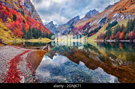 Düstere Morgenansicht des Seealpsees. Erstaunliche Herbstszene der Schweizer Alpen. Der majestätische Santis-Gipfel spiegelt sich in der ruhigen Oberfläche des reinen Wassersees wider. Stockfoto