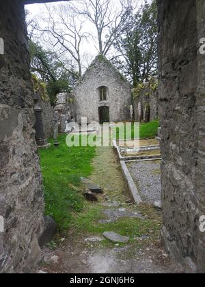 Auf dem Gelände der Monigaff (Minnigaff) Kirche oder Kirk, in der Nähe von Newton Stewart, Dumfries und Galloway. Die "neue" Kirche ist eine Kirche unter dem B-Denkmalschutz, die 1836 nach einem neugotischen Entwurf von William Burn erbaut wurde. Auf dem gleichen Gelände befinden sich die Ruinen der alten Kirche (hier abgebildet) mit den dazugehörigen Begräbnissen, die mit alten Grabsteinen markiert sind. Es wurde an der Stelle eines älteren motte- und bailey-Schlosses errichtet Stockfoto