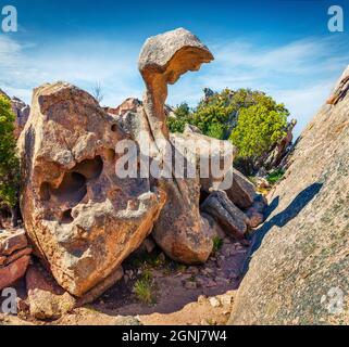 Spektakuläre Aussicht auf den Rock of the Bear. Helle Morgenszene der Insel Sardinien, Capo D'orso, Provinz Olbia-Tempio, Italien, Europa. Reisekonzept Stockfoto