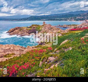 Düstere Sommeransicht des Kaps de la Pietra mit der Genoise de la Pietra und dem Turm L'ile-Rousse im Hintergrund. Frische Morgenszene der Insel Korsika, Frankreich, E Stockfoto