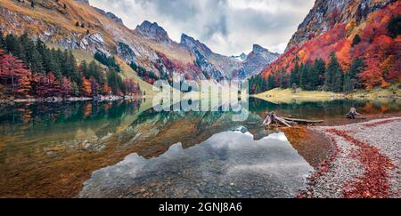 Panoramablick auf den Seepalpsee am Morgen. Farbenfrohe Herbstszene der Schweizer Alpen. Der majestätische Santis-Gipfel spiegelt sich in der ruhigen Oberfläche des reinen Wassersees wider. Stockfoto
