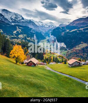 Blick von der fliegenden Drohne auf das Dorf Wengen, Bezirk Lauterbrunnen. Erstaunliche Morgenszene der Schweizer Alpen. Exotische Herbstlandschaft der Schweiz zählen Stockfoto