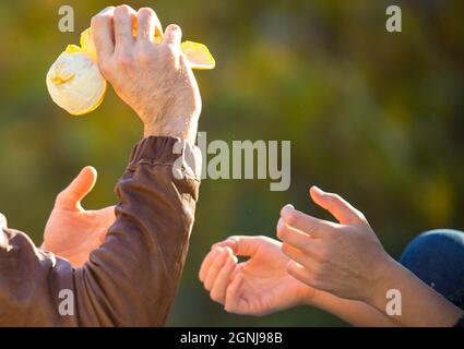 Pärchen spielt mit teilweise geschälten Orangenfrüchten. Männliche Hände in brauner Lederjacke halten Zitrus und Frau bereit, es zu fangen. Junge Familie im Freien. Sonnig Stockfoto