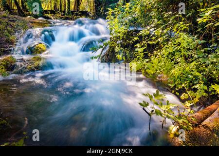 Reines Wasser kleiner Wasserfall am Fluss Krka. Erstaunliche Sommer Blick auf Krka Nationalpark, Lozovac Dorf Lage, Kroatien, Europa. Schönheit der Natur conce Stockfoto