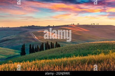 Wunderbare Aussicht auf den Tuskanien mit Weizenfeld. Herrlicher Sommeraufgang der italienischen Landschaft. Hintergrund des Reisekonzepts, Italien, Europa. Stockfoto