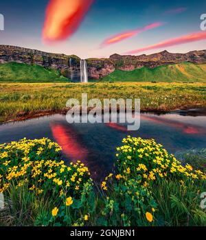 Erstaunlicher Sommeraufgang auf Seljalandsfoss - wo Touristen hinter dem fallenden Wasser spazieren können. Ruhige Morgenszene von Island, Europa. Die Schönheit von Nat Stockfoto