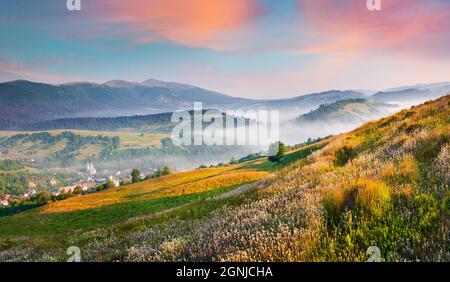 Bergdorf im Morgennebel. Fantastische Frühlingsansicht der Karpethianer mit Borzha-Bergrücken im Hintergrund. Blühende Frühlingsblumen auf dem Berg hallo Stockfoto
